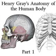 Librivox M4B collection audiobooks 2