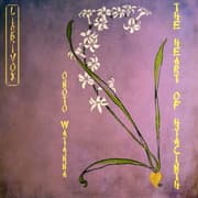 The Heart of Hyacinth