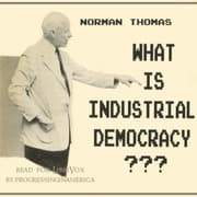 What is Industrial Democracy