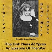 The Irish Nuns at Ypres: An Episode of the War