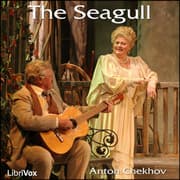 The Seagull