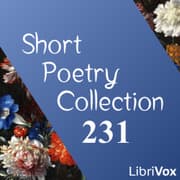 Short Poetry Collection 231