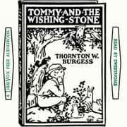 Tommy and the Wishing Stone