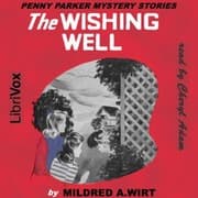 The Wishing Well