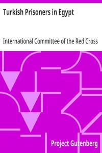 Turkish Prisoners in Egypt: A Report by the Delegates of the International Committee of the Red Cross