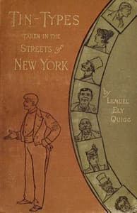 Tin-types taken in the streets of New York : $b a series of stories and sketches portraying many singular phases of metropolitan life