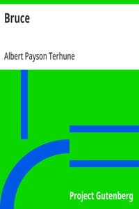 The Grand Babylon Hotel