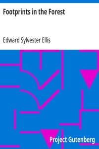 Footprints in the Forest