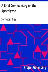 A Brief Commentary on the Apocalypse