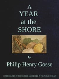 A year at the shore