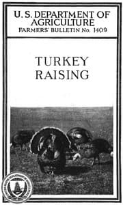 Turkey Raising
