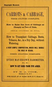 Ten years' experience in raising carrots and cabbage