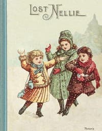 Lost Nellie : $b and other stories