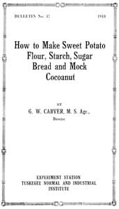 How to make sweet potato flour, starch, sugar, bread and mock cocoanut