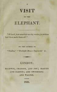 A visit to the elephant