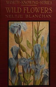 Wild Flowers Worth Knowing